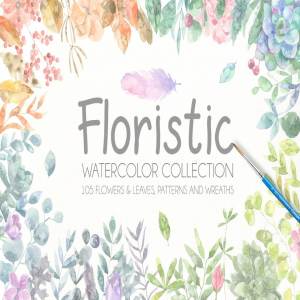 水彩植物插画合集 Floristic Watercolor Collection Pro