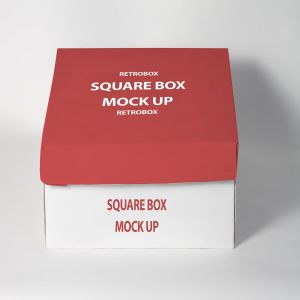 高品质的正方形的包装盒子VI样机展示模型mockups