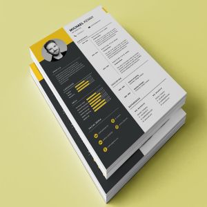 两列式排版风格个人简历表设计模板 Clean Resume