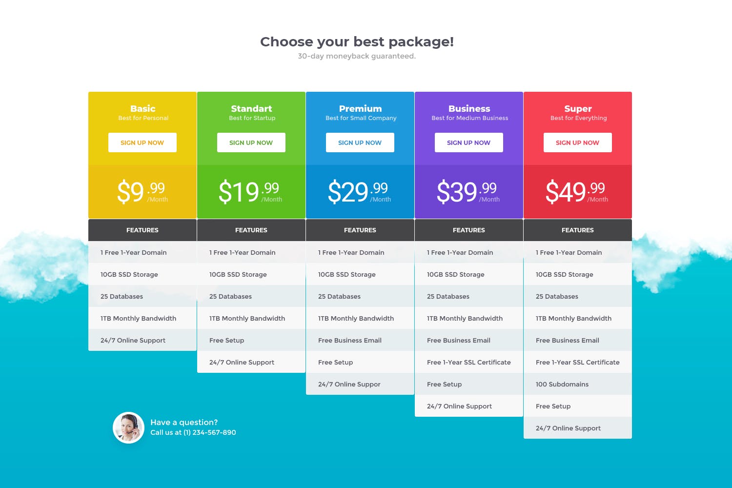 网站价格表单设计UI模板v26 Price Table 26