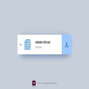 网站下载小部件设计XD素材 Download Widget – Adobe XD