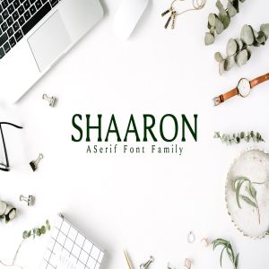极简优雅风格衬线字体家族 Shaaron A New Serif Font Family