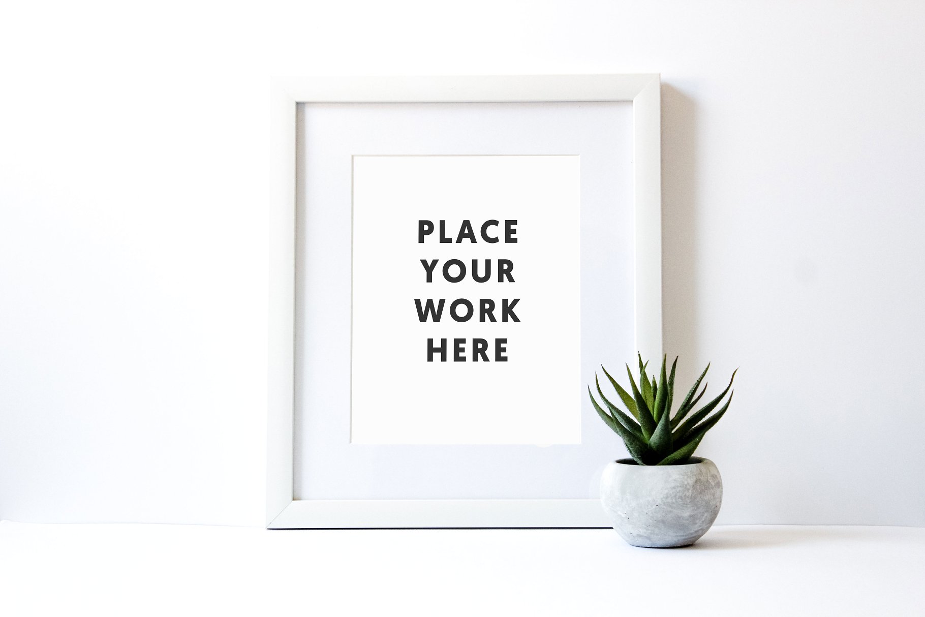 花式白框多肉值物场景样机 Styled White Frame with Succulent