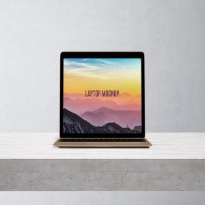 笔记本电脑屏幕演示样机模板 14×9 Laptop Screen Mock-Up – Gold插图6