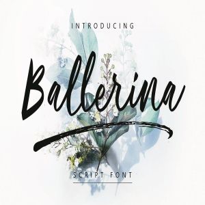 现代优雅书写风格英文手写字体 Ballerina | Script Font MS