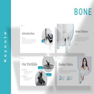 创意设计公司简介Keynote演示文稿模板 Bone Keynote