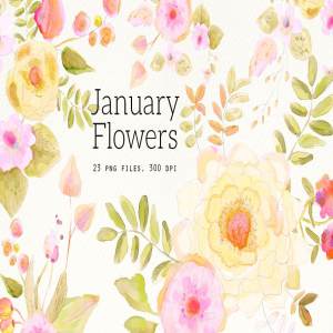 手绘水彩花卉剪贴画 January Flowers