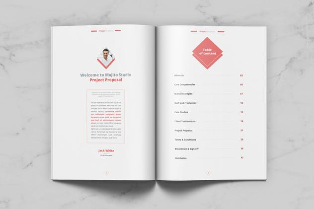 商业项目计划书/提案设计模板 Project Proposal