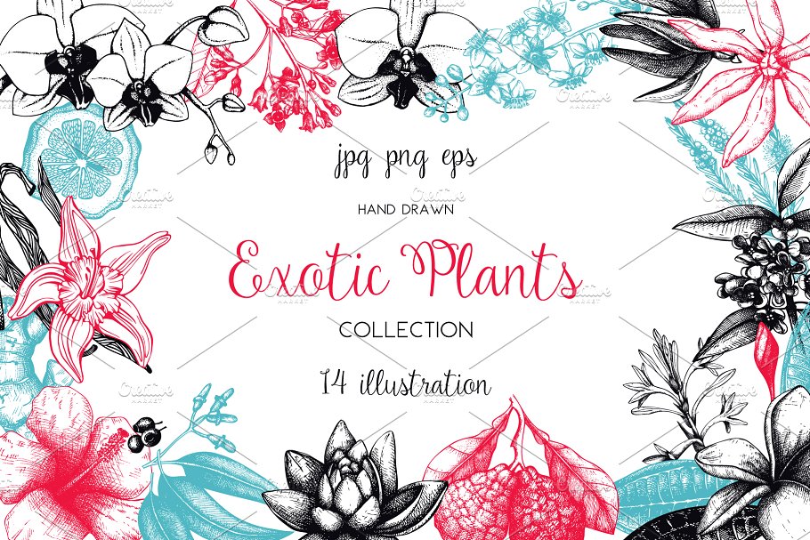 复古风奇花异草设计素材集 Vinatge Exotic Plants & Flowers Set