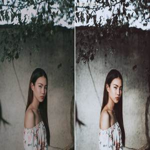 时尚博客人像摄影LR预设