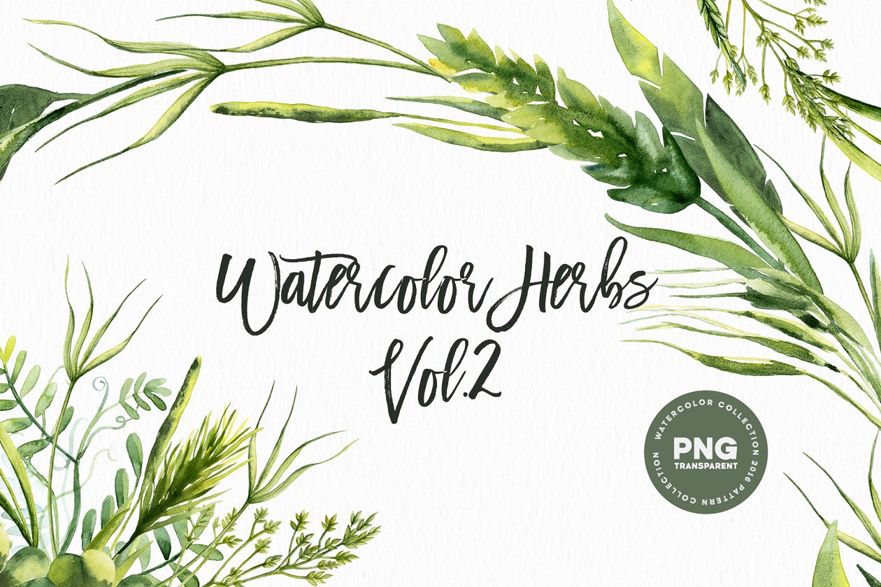 草本药草水彩插画素材 Watercolor Herbs Vol.2