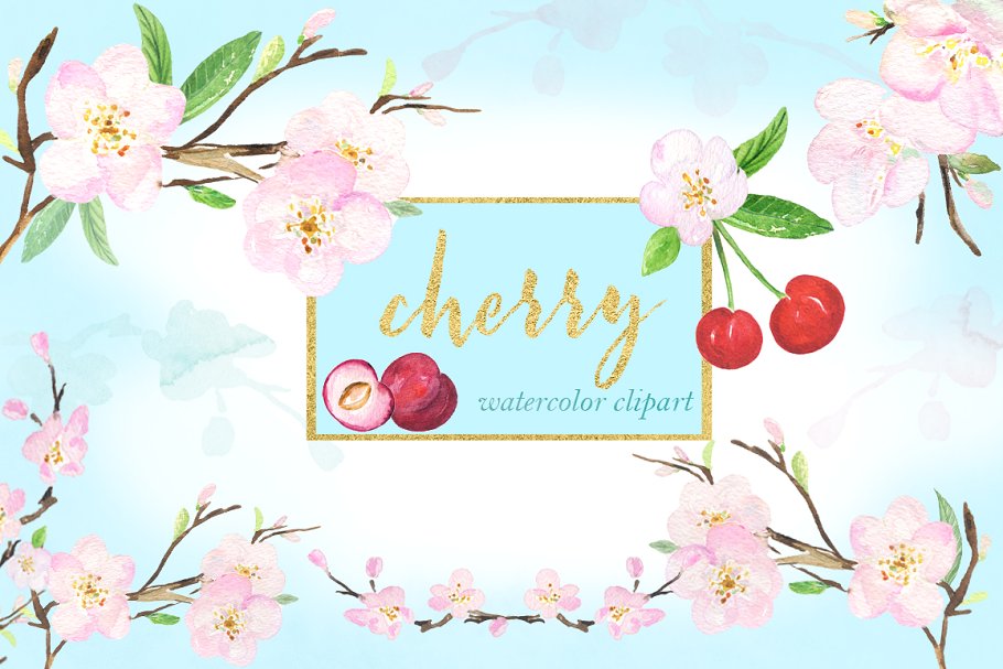 甜美的手绘樱桃樱花水彩剪贴画 Cherry flowers. Waterolor clipart.
