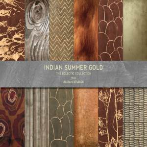 温暖印度夏季金色背景纹理 Indian Summer Gold Backgrounds