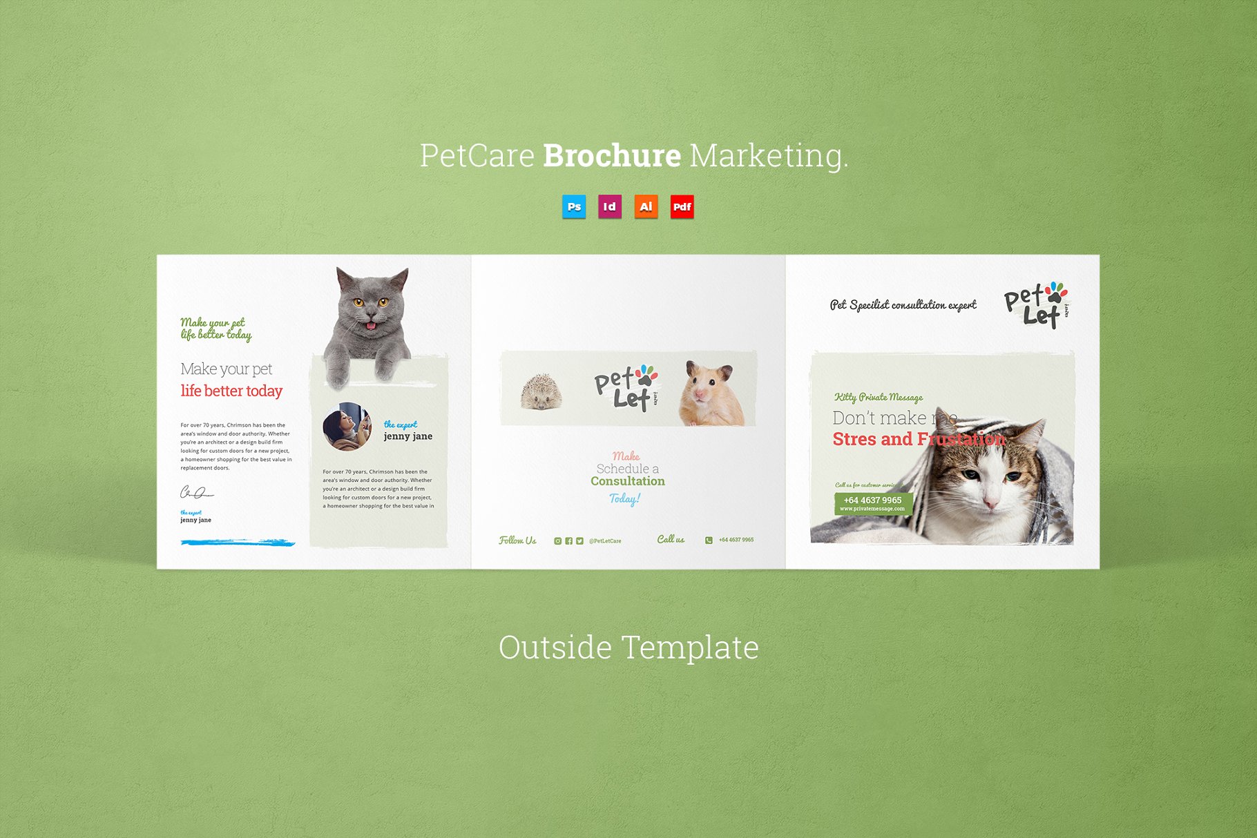 宠物关怀服务宣传传单模板 Pet Care Tri-Fold Brochure