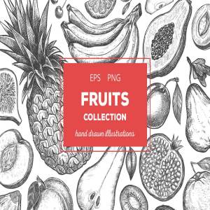 粗略风水果素描插图合集 Fruits Illustrations