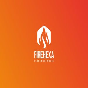 六边形火焰企业创意Logo设计模板 Fire Hexagon Logo插图2