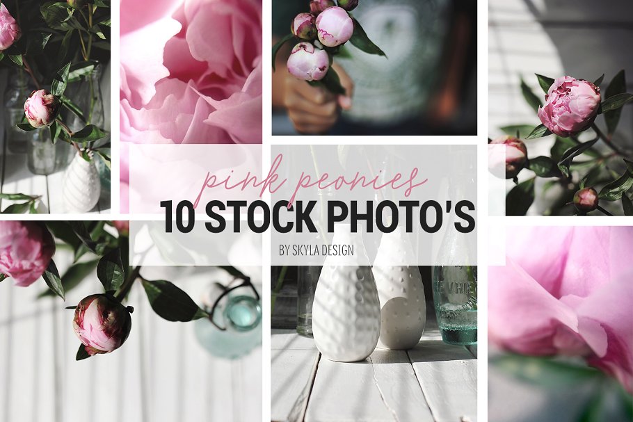 粉红色牡丹花卉装饰场景模板 Styled stock photos, Pink peonies