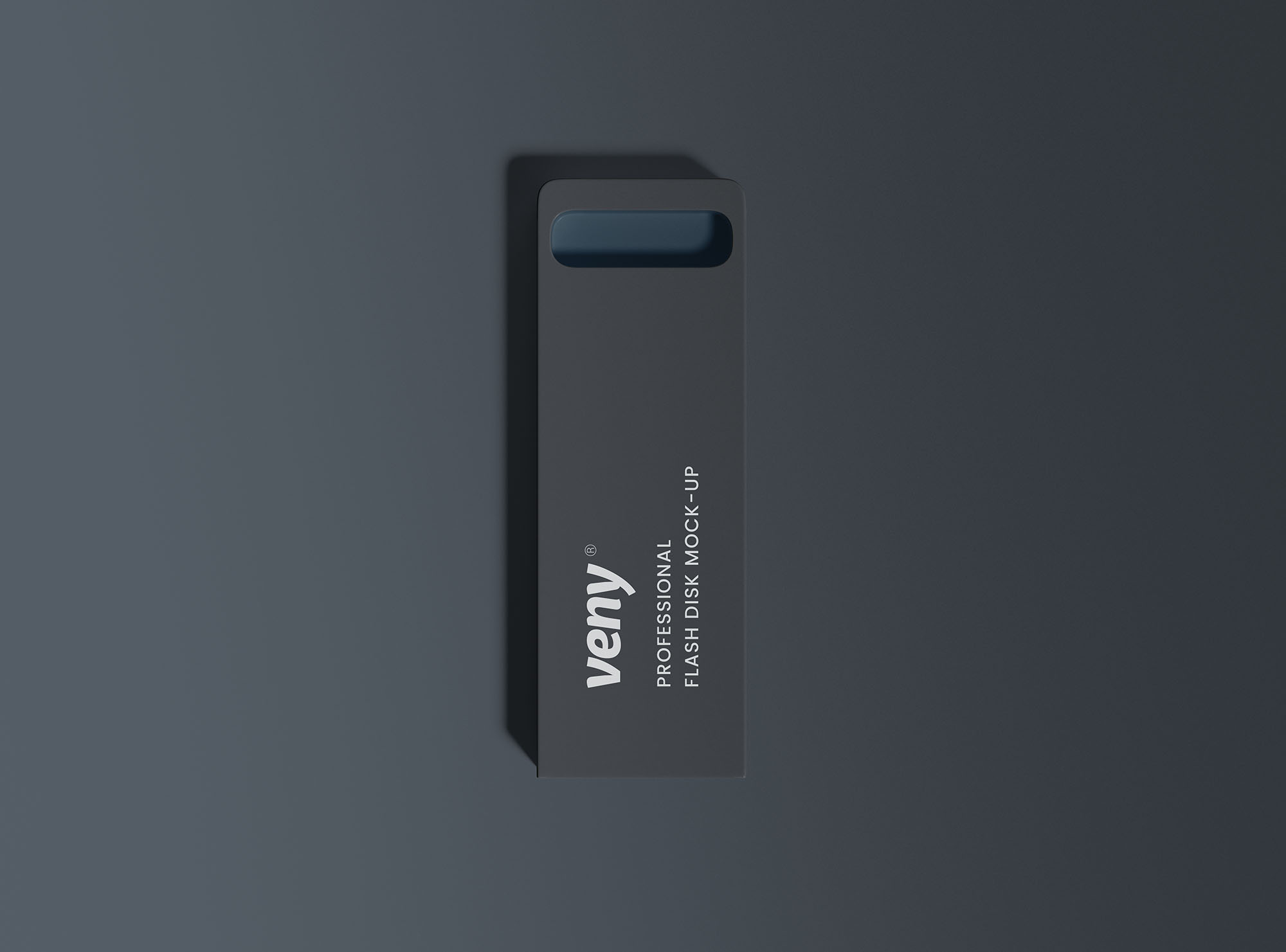 扁平长方创意U盘外观设计样机模板 Flash Disk Mockup