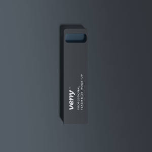 扁平长方创意U盘外观设计样机模板 Flash Disk Mockup