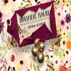 水彩花卉设计素材+12个花卉Logo模板 November Flowers