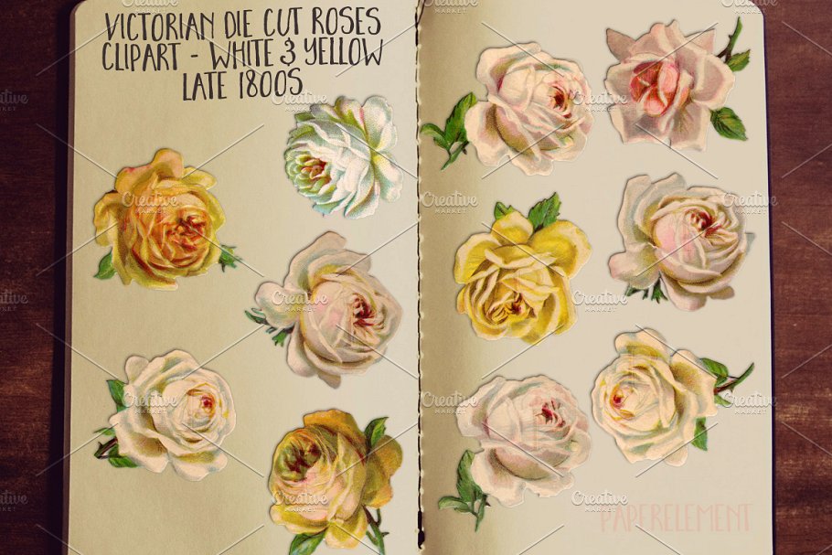 黄色&白色玫瑰花剪贴画 Yellow & White Rose Clip Art Flowers