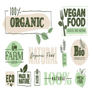有机食品标志标识和元素设计素材 Organic Food Signs and Elements Collection插图2