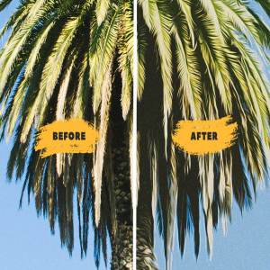 照片一键生成绘画效果PS动作 From Photo to Draw