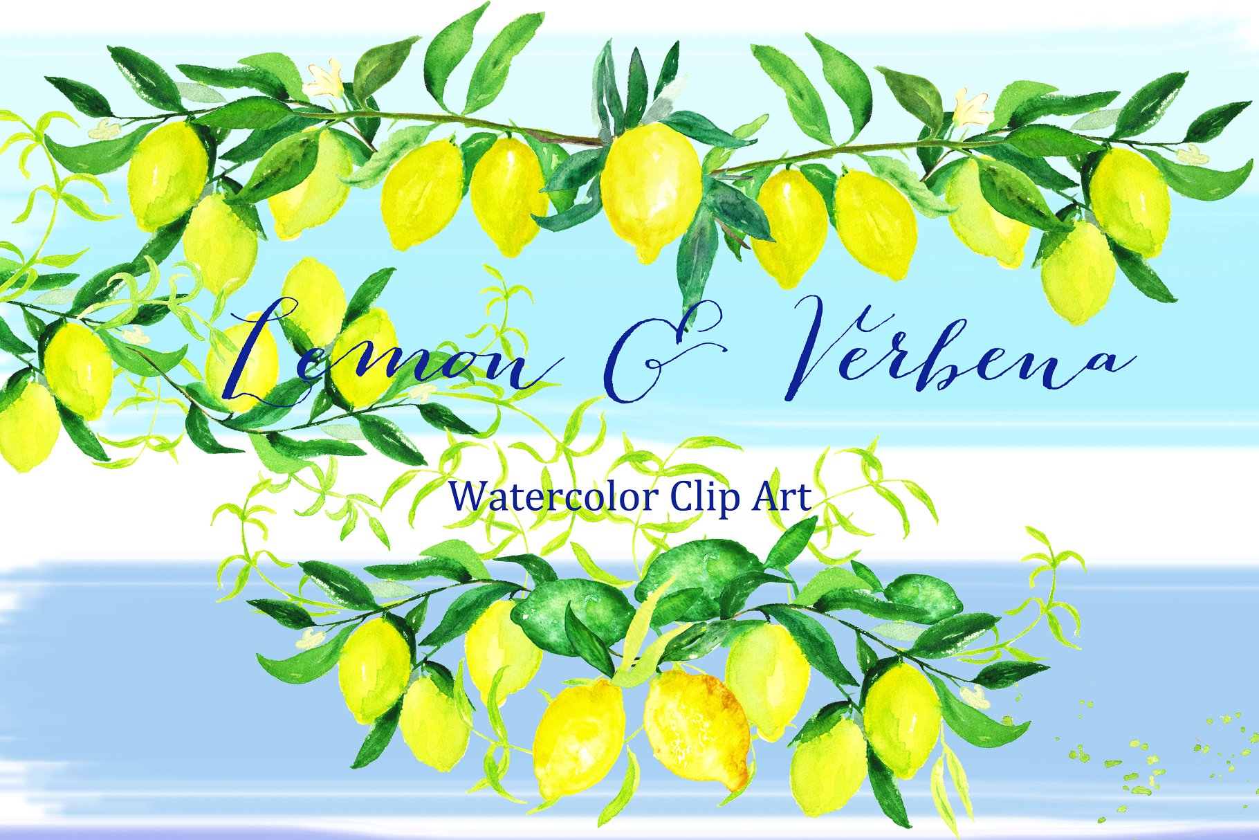 浪漫温柔的水彩柠檬马鞭草元素 Lemon & verbena. watercolors