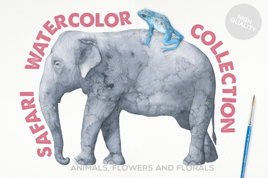 冒险之旅水彩素材合集（飞禽走兽、昆虫元素、纹理&额外的字体） Safari Watercolor Collection Pro