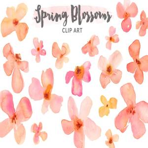 春季美丽彩绘花卉剪贴画 Watercolor Clipart – Spring Blossoms