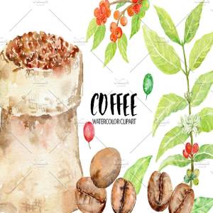 手绘水彩咖啡豆种植剪贴画 Watercolor Coffee Beans Clipart
