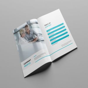 专业干净现代时尚的16P公司简介企业形象手册画册楼书杂志设计模板