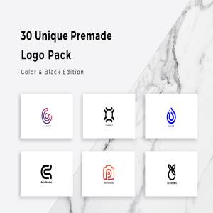 30个独特的预制Logo模板合集 30 Unique Premade Logos Pack