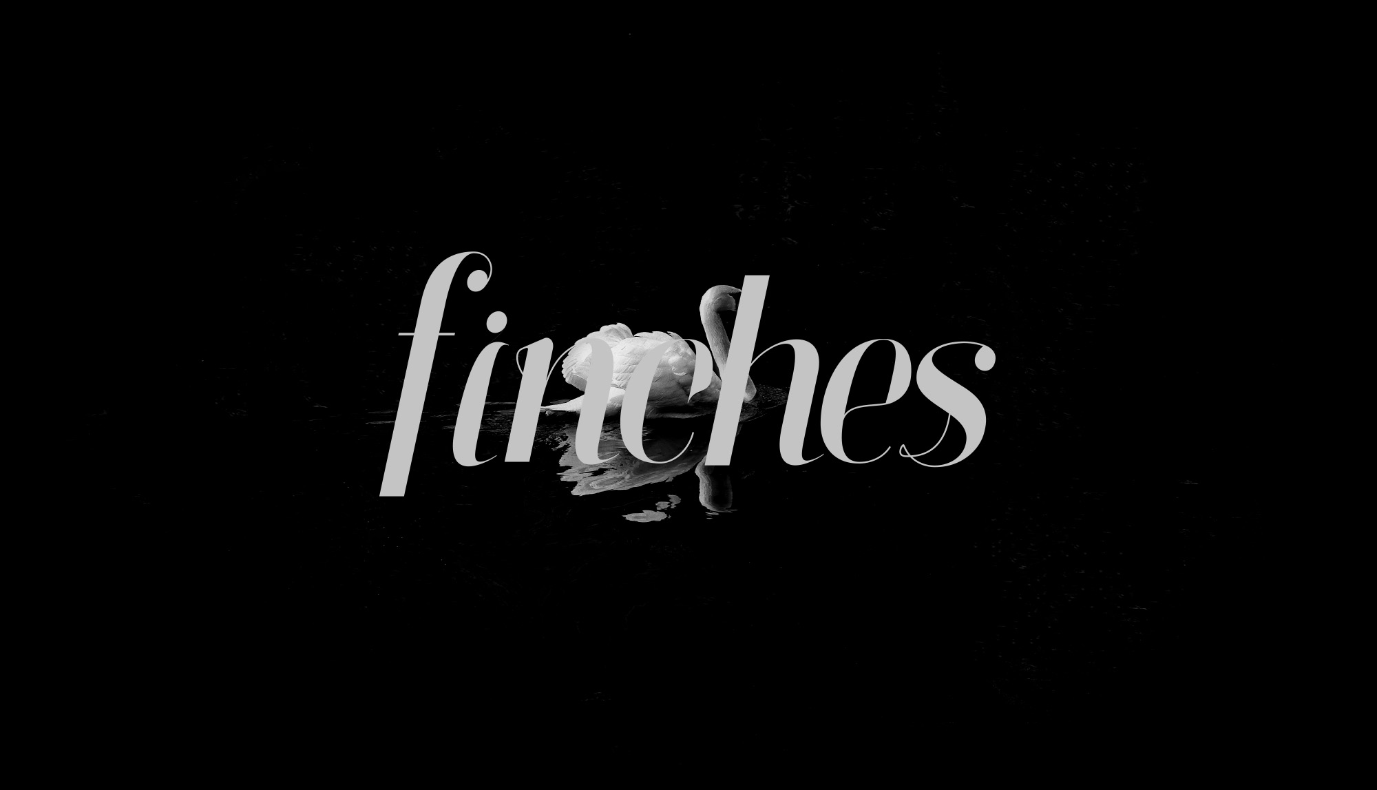雅致设计风格英文衬线斜体字体 Finches Serif Italic Font