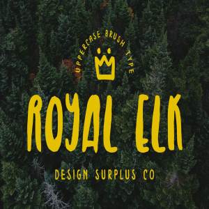 无衬线英文书法字体 Royal Elk Font