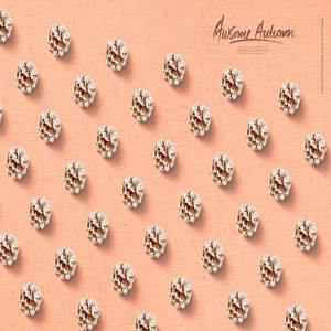 秋季元素松果图案背景psd素材