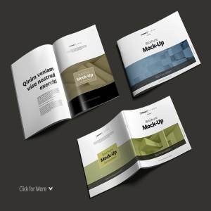 36种视角宣传小册子样机 Brochure Mock-Up Bundle