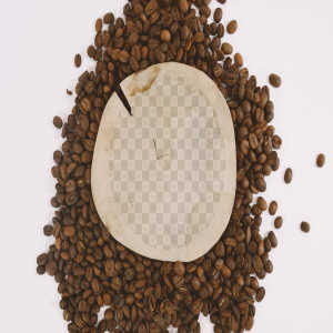 咖啡品牌Logo商标设计效果预览样机 Engraved Wood Logo Mockup插图2