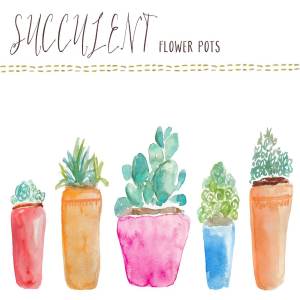 水彩多肉盆栽植物插画素材 Watercolor Succulents Flower Pots