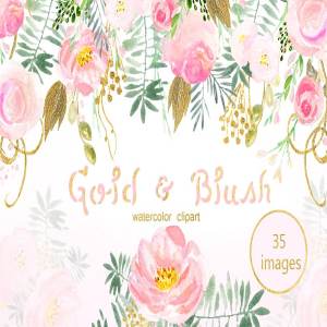 水彩浅粉腮红金色花卉剪贴画合集 Gold and blush watercolor flowers