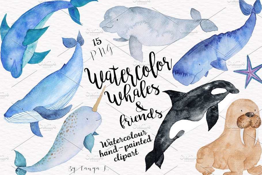 鲸鱼和海洋动物水彩插画 Watercolor Whales and Friends Set