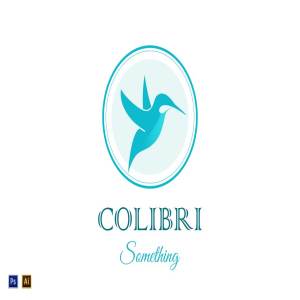 小鸟图形Logo模板 Bird Logo