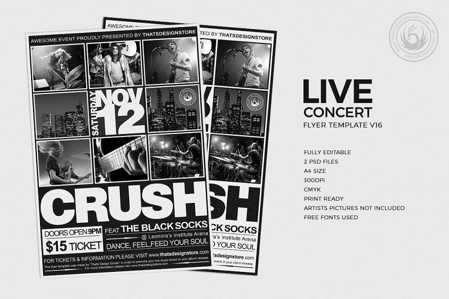 户外音乐节活动传单PSD模板v16 Live Concert Flyer PSD V16