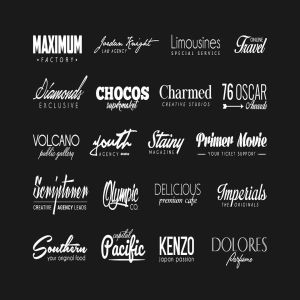 100个高端时尚多用途的logo标志设计模板大集合插图8