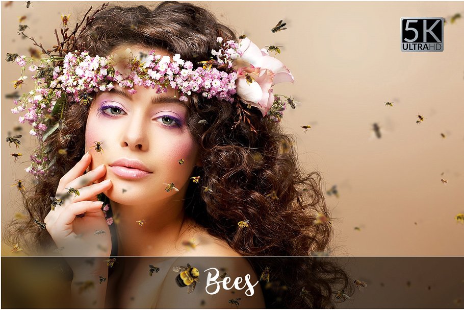 5K高清分辨率蜜蜂叠层背景素材 5K Bees Overlays