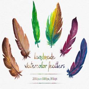 手绘水彩羽毛插画 Watercolor Feathers