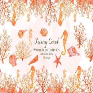 海洋生物水彩插画素材 Watercolor clipart living Coral