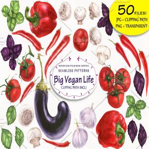 营养蔬菜水彩元素插画合集