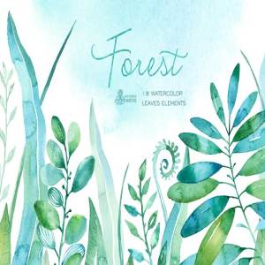 森林水彩树叶素材 Forest watercolor leaves