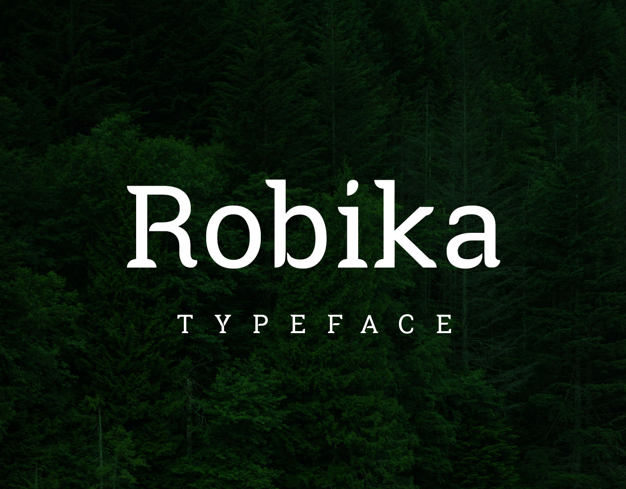 带有独特圆角英文衬线字体 Robika Serif Typeface